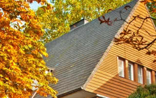 fall leaves surrounding shingle roof home
