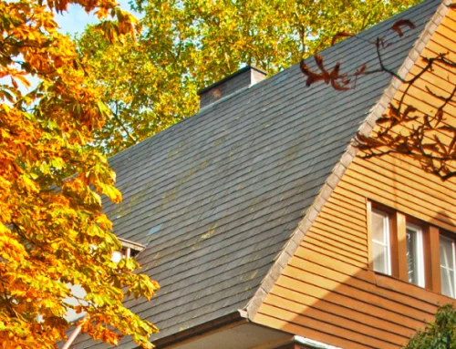 Metal Roof vs. Shingle Roof Considerations