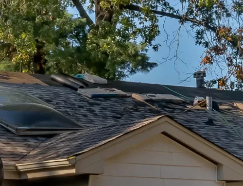 What Should You Look for after a Hail Storm?