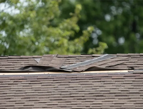 7 Signs You Have Storm Damage on Your Roof